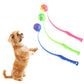 Lanceur de Balle de Tennis pour Chiens