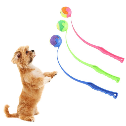 Lanceur de Balle de Tennis pour Chiens