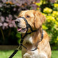 Harnais d'entraînement anti-traction pour Chien