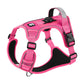 Harnais Anti-traction compatible avec GPS/AirTag pour Chien