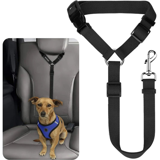 Ceinture de Sécurité & Laisse Voiture pour Chien
