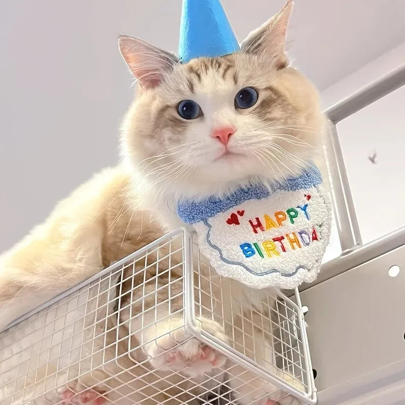 Set Anniversaire Chien & Chat – Bandana “Happy Birthday” et Chapeau Rose
