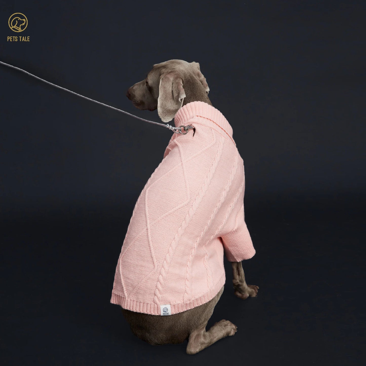 Pull Côtelé à Manches pour Chien – Tricot à Torsades et Fente Harnais
