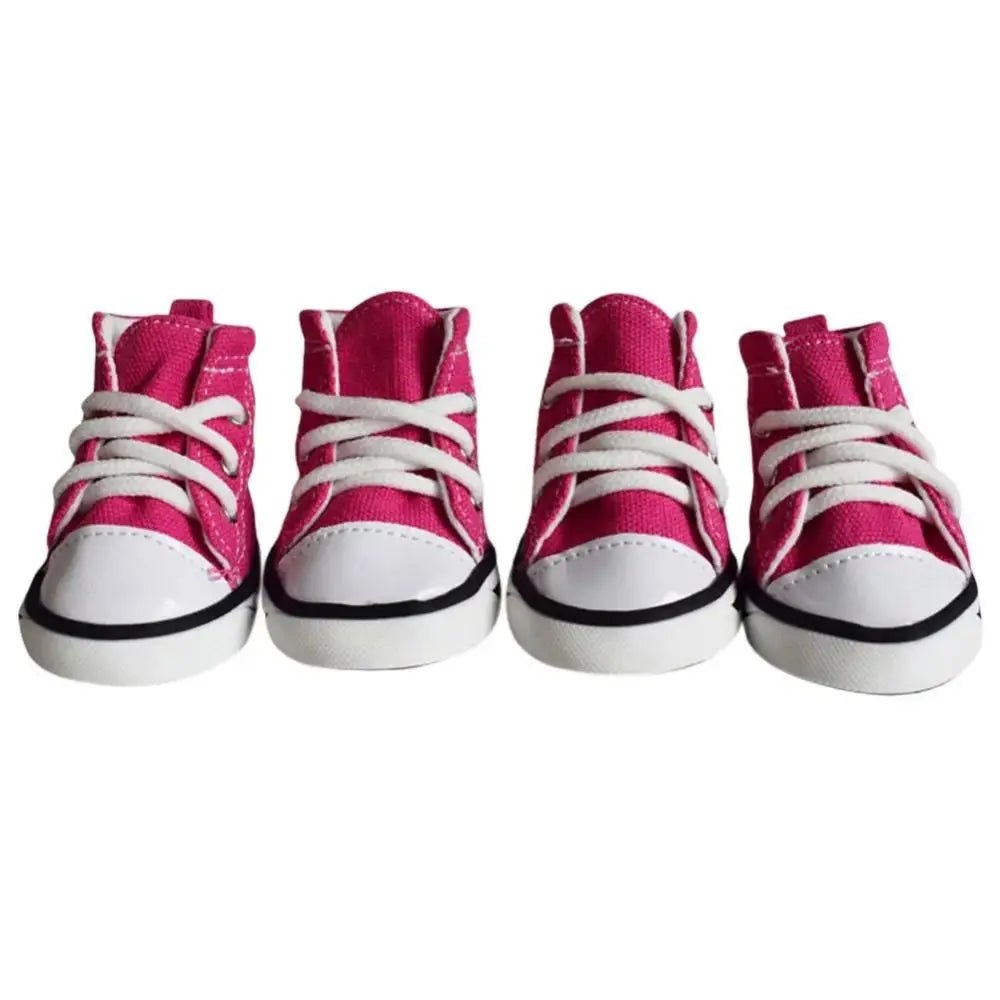 Chaussures All Star Été Antidérapantes pour Chiens