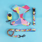Pack 4-en-1 Harnais et accessoires pour Petit Chien