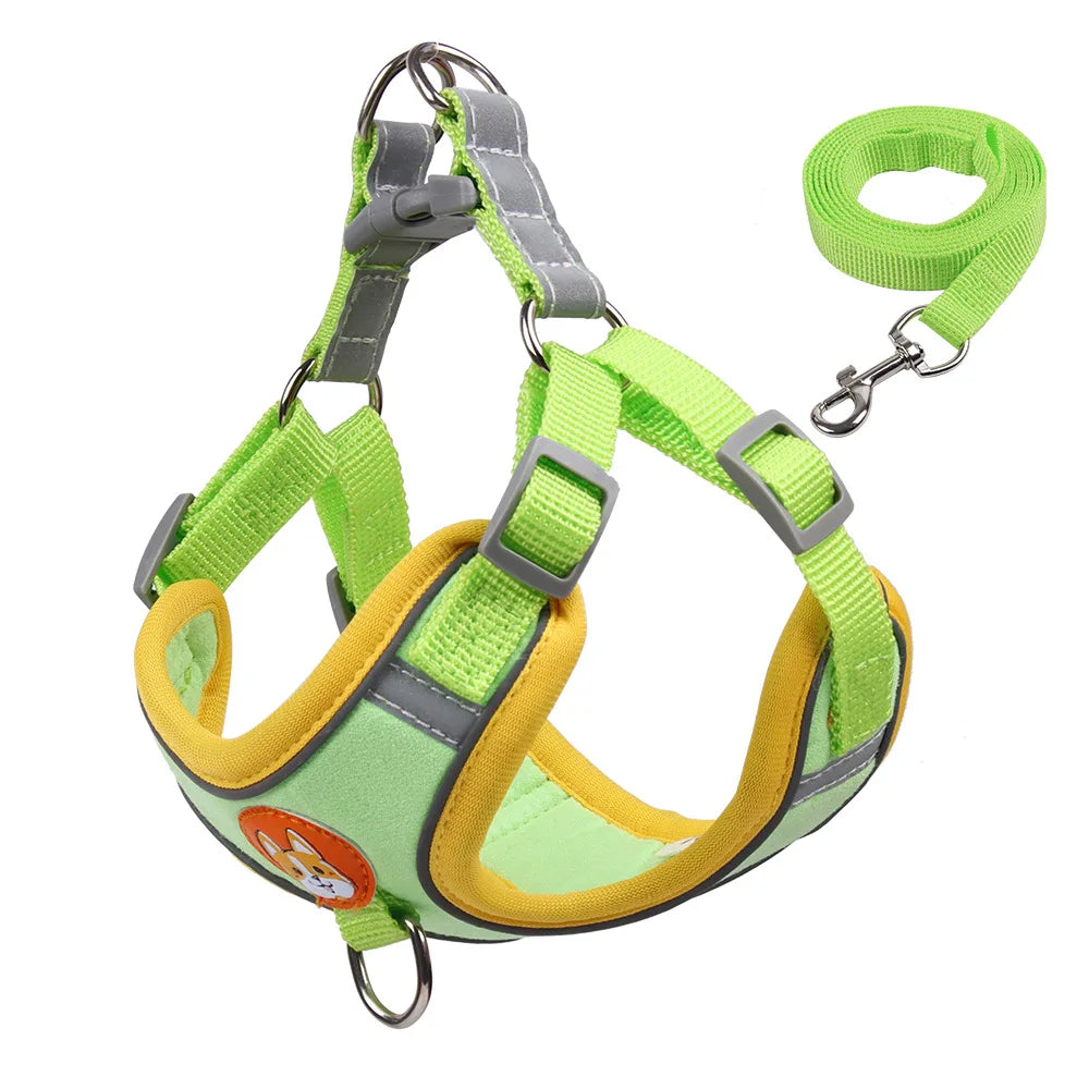 2 en 1 Harnais & Laisse Réfléchissant Anti-traction pour chien