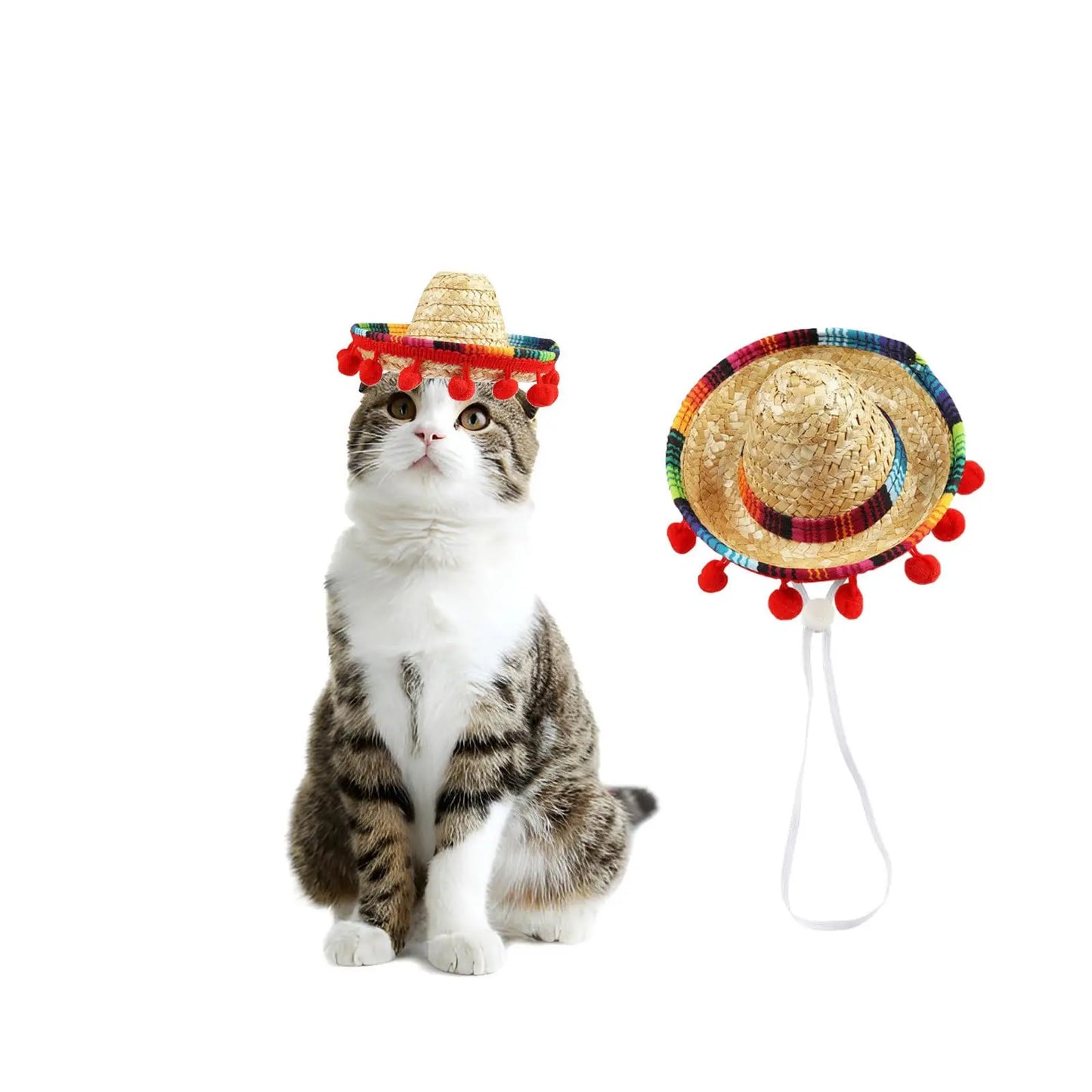 Sombrero Mexicain pour Chat – Chapeau de Paille Coloré à Pompons