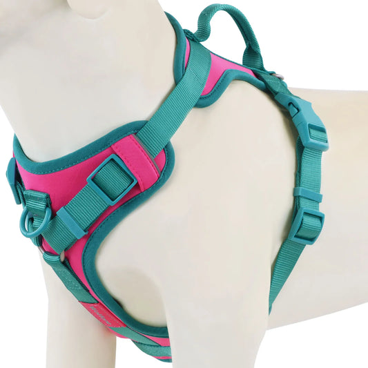 Harnais gilet Anti-traction en H pour Chien