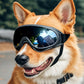Lunettes de Protection Ajustables pour Chiens - Anti-UV et Anti-Vent