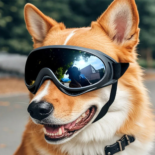 Lunettes de Protection Ajustables pour Chiens - Anti-UV et Anti-Vent