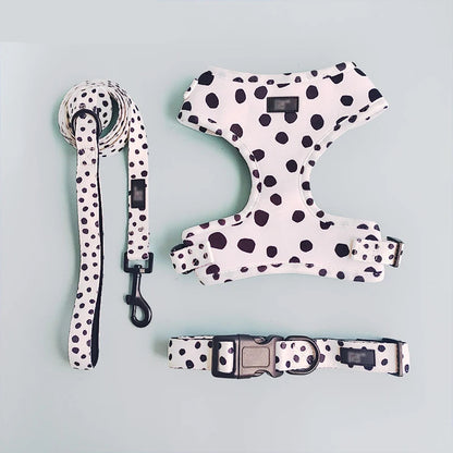 Pack 4-en-1 Harnais et accessoires pour Petit Chien