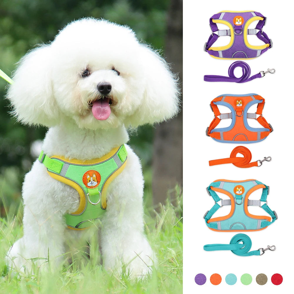 2 en 1 Harnais & Laisse Réfléchissant Anti-traction pour chien