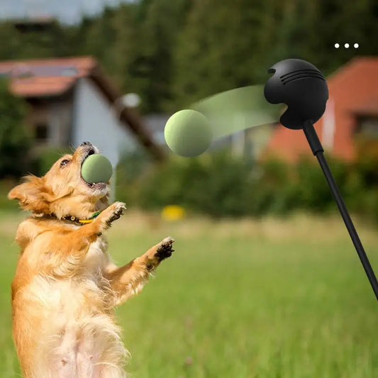 Lance-Balle Télescopique Interactif pour Chiens