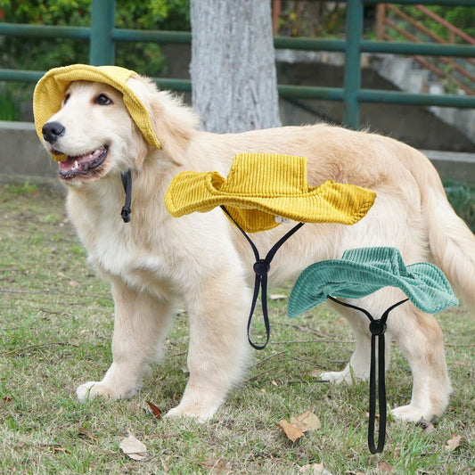 Chapeau Soleil en Velours Côtelé pour Chien avec Trous pour Oreilles