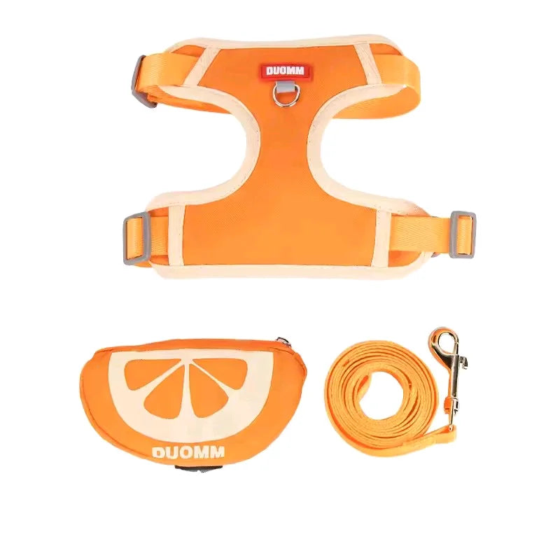 Kit Harnais et Laisse Fruit avec Sac à Dos Amovible et Distributeur de Sacs