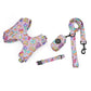 Pack 4-en-1 Harnais et accessoires pour Petit Chien