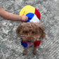 Pull Coloré à Carreaux pour Chien ou Chat