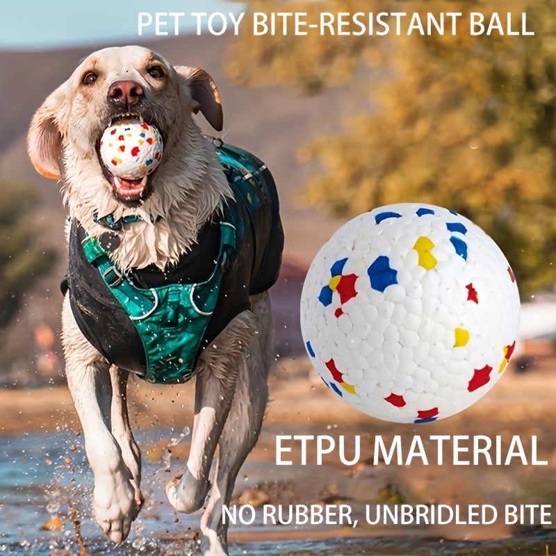 Balle Ultra-Résistante pour Chiens Toutes Tailles
