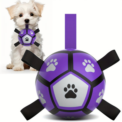 Ballon de Football pour Chien avec Poignées - Violet & Noir