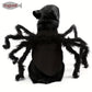 Costume Araignée d’Halloween pour Chats et Petits Chiens