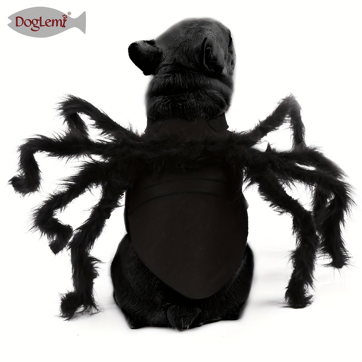Costume Araignée d’Halloween pour Chats et Petits Chiens