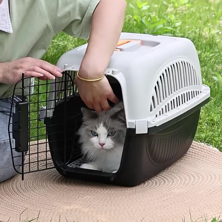 Cage de Transport Aérienne Portable pour Animaux