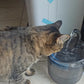 Fontaine 1,8L USB transparente pour Chat & Chien avec double mode