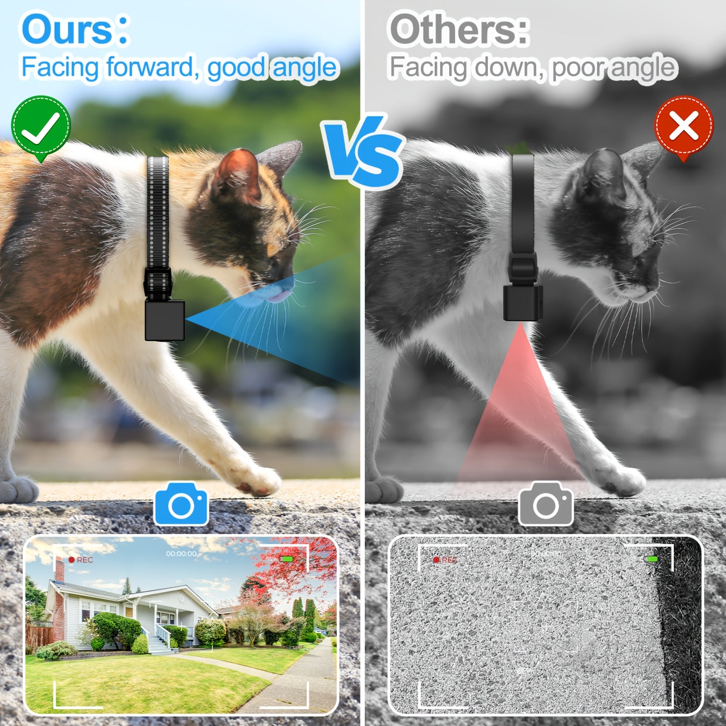 Collier Caméra 1080P pour Chats et Petits Chiens
