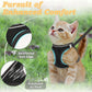 Harnais pour Chat Anti-Fuite avec Laisse