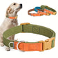 Collier Coloré style Casual pour Chien