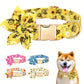 Collier Fleuri (fleur amovible) pour Chien