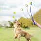 Lanceur de Balle Sport pour Chien – 50 cm
