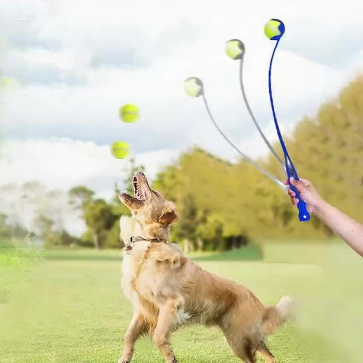 Lanceur de Balle Sport pour Chien – 50 cm