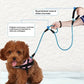Laisse Corde avec Double Poignée + Porte Sacs pour Chien