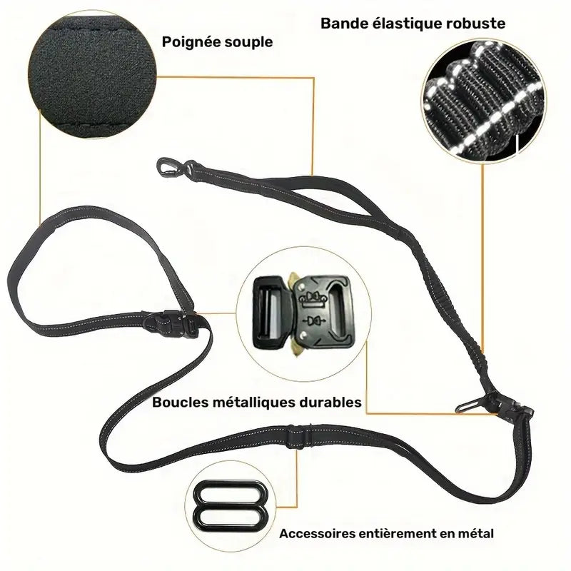 Laisse Mains Libres avec Boucle pour Voiture pour Chien