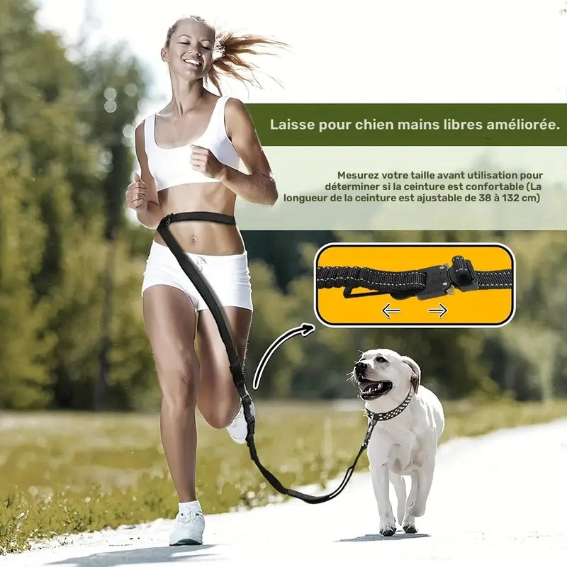 Laisse Mains Libres avec Boucle pour Voiture pour Chien