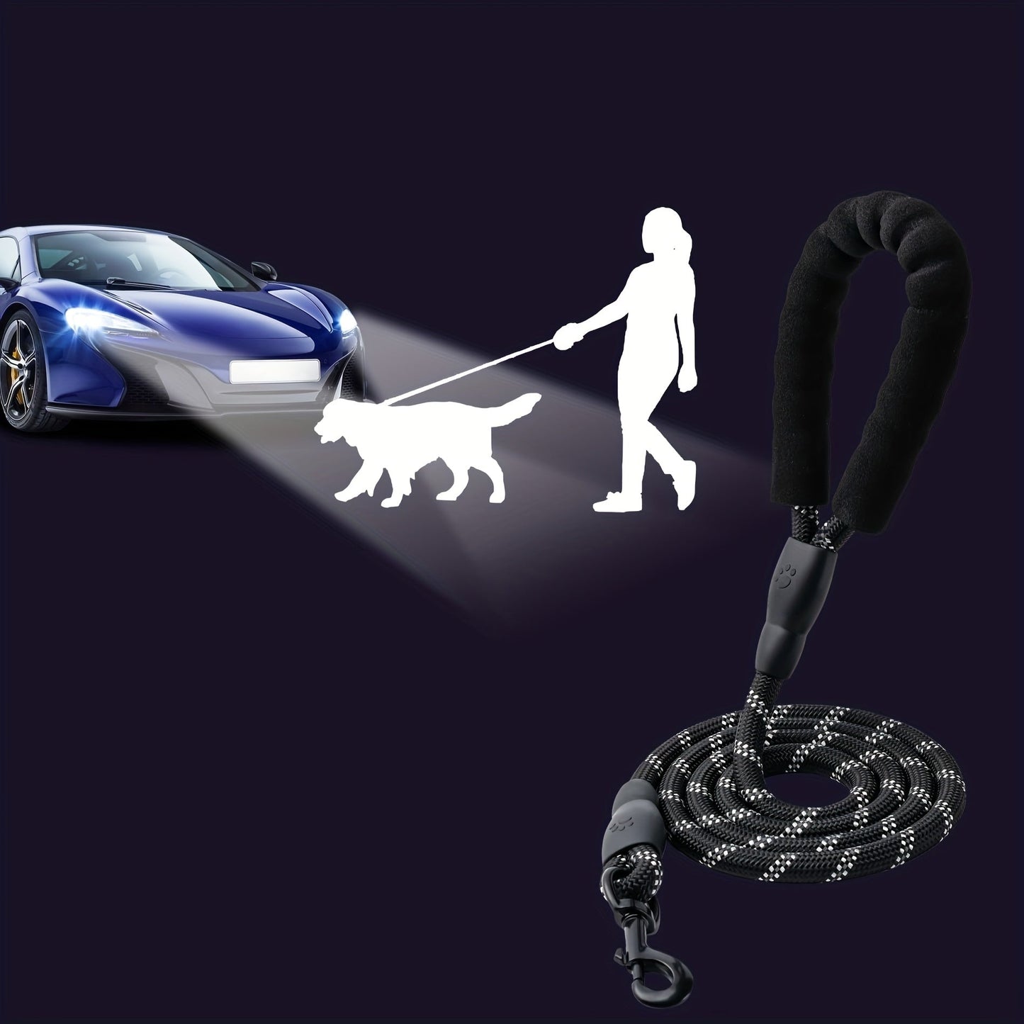 Laisse Corde pour petit, moyen et grand Chien