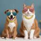 Pack 4 Paires de Lunettes Rétro Rondes en Métal pour Chats et Petits Chiens