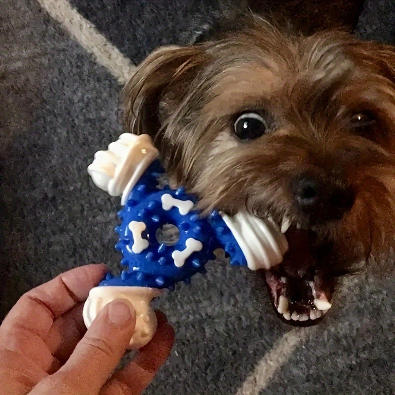 Jouet Triangulaire à Mâcher pour Chiens – Nettoyage Dentaire