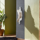 Tapis anti-griffes pour canapé, photo 17