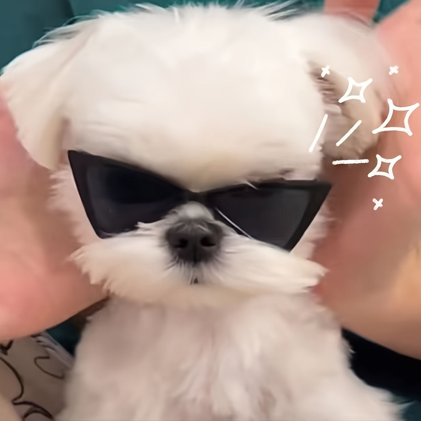 Lunettes Triangle Stylées pour Chats et Petits Chiens