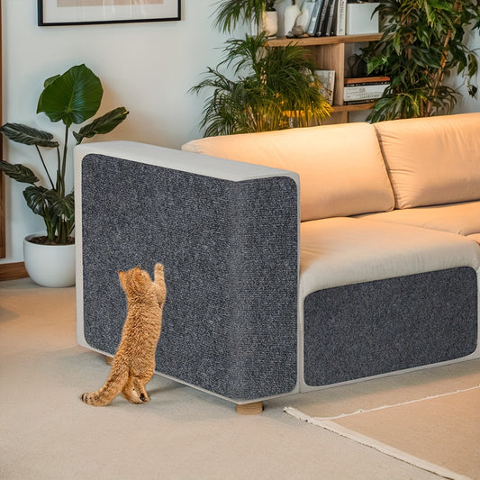 Tapis anti dans un salon lumineux