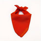 Bandana Nœud Monocolor pour Chiens