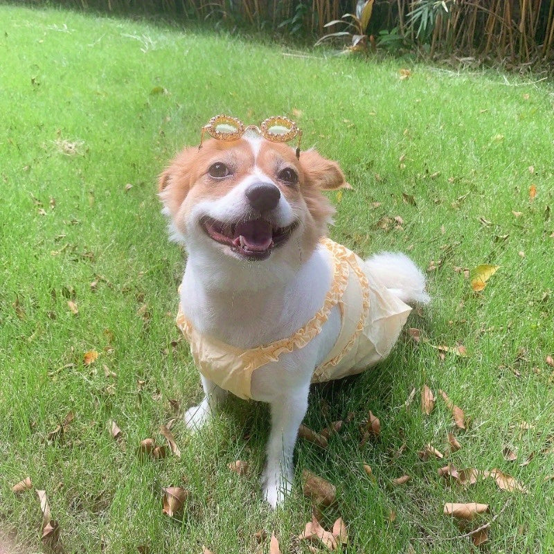 Lunettes Rondes à Strass pour Chats et Chiens