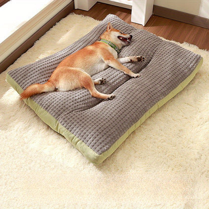 Extra Small to Large Dogs, No Assembly Required