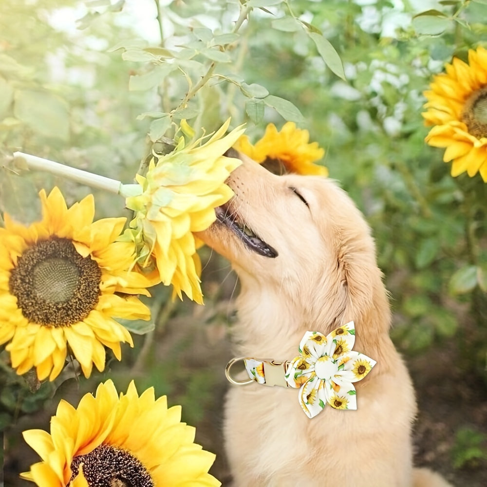 Collier Fleuri (fleur amovible) pour Chien