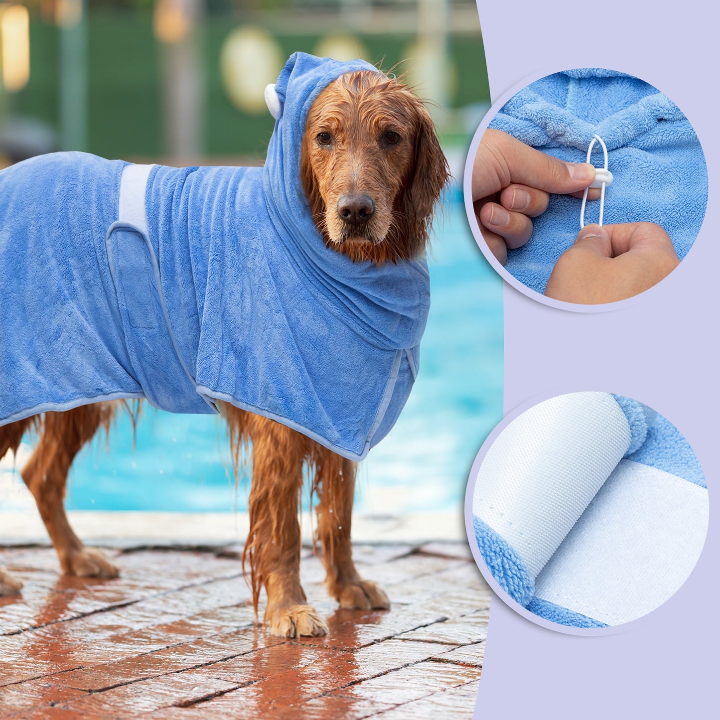 Peignoir de Bain Ultra-Absorbant à Capuche pour Grand Chien