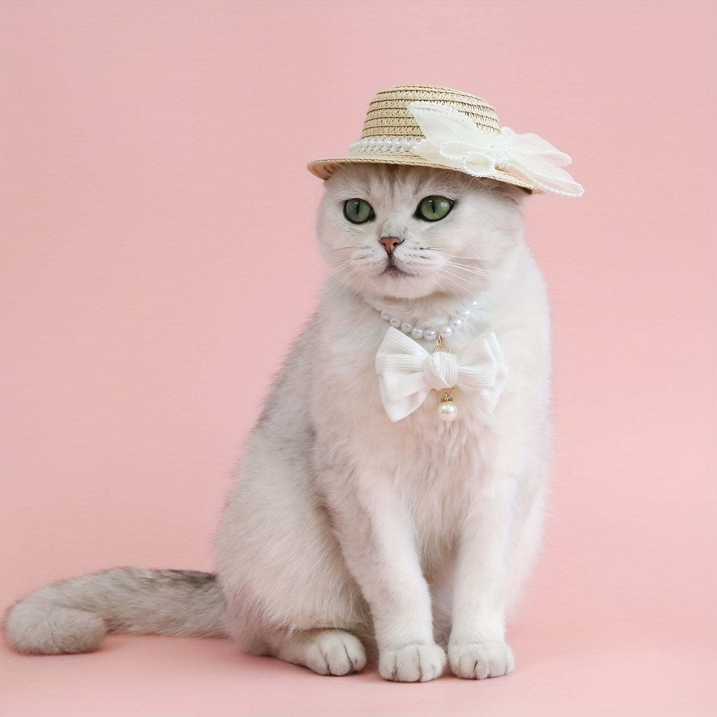 Set Collier et Chapeau Élégance Perle pour Chiens et Chats