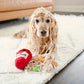 Jouet Ramen en Peluche pour Chiens – Cache Friandises Interactif