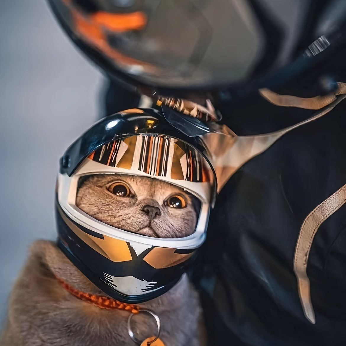 Casque Moto pour Chats – Mini Casque en PVC Style Motard